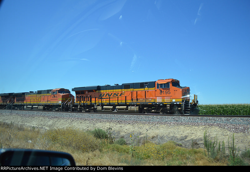 BNSF 8195